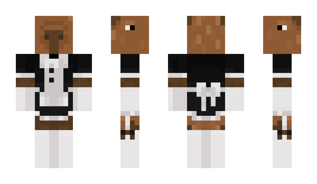 hdbz Minecraft Skin