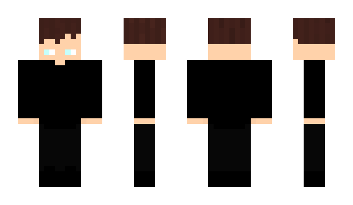 SebiGSW Minecraft Skin