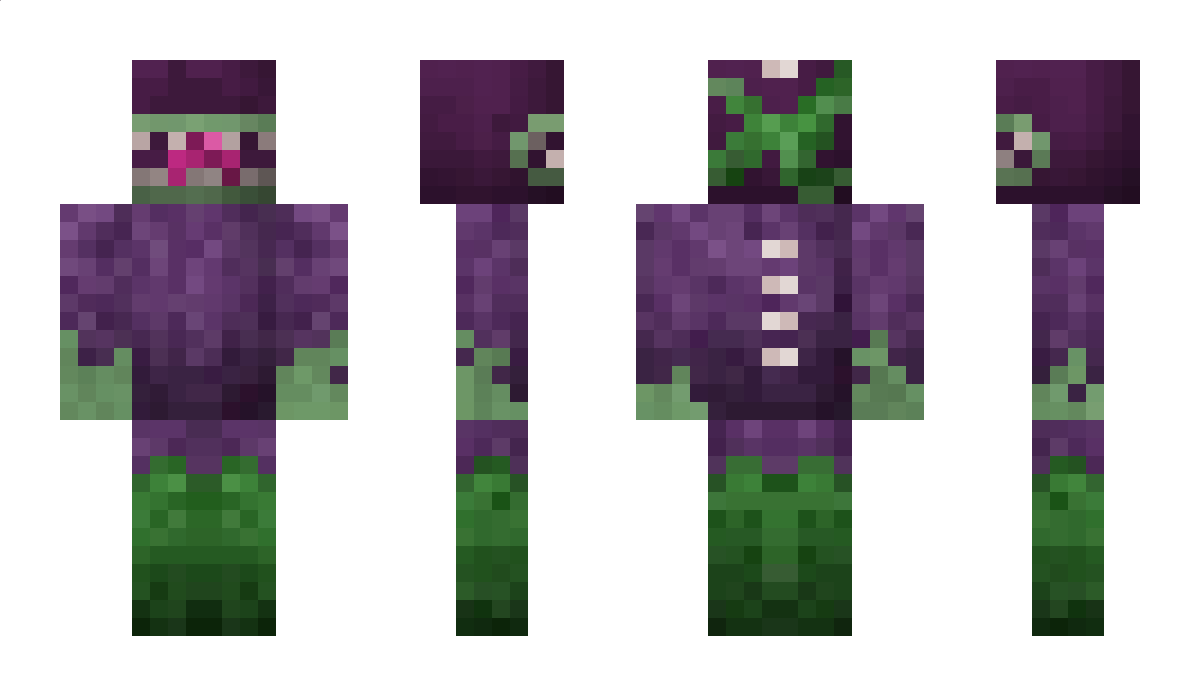 EveryEntity3o3 Minecraft Skin