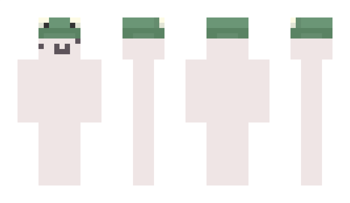 mc_python1 Minecraft Skin