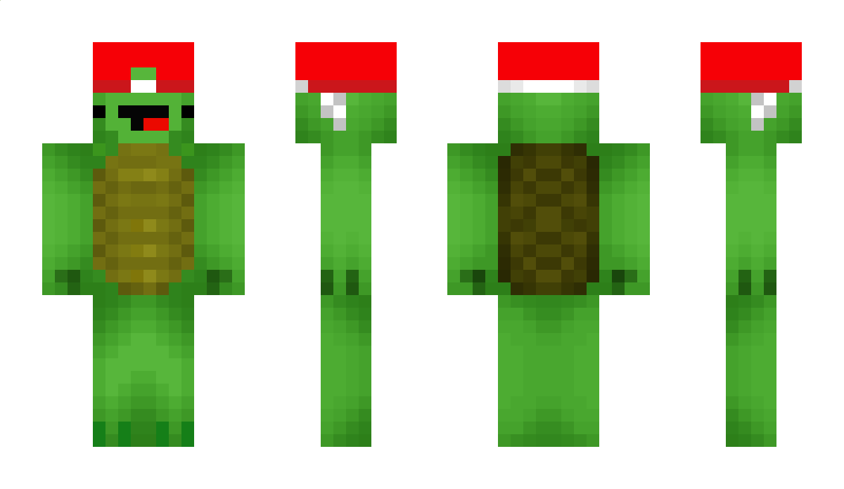 EpicTurtleiscool Minecraft Skin