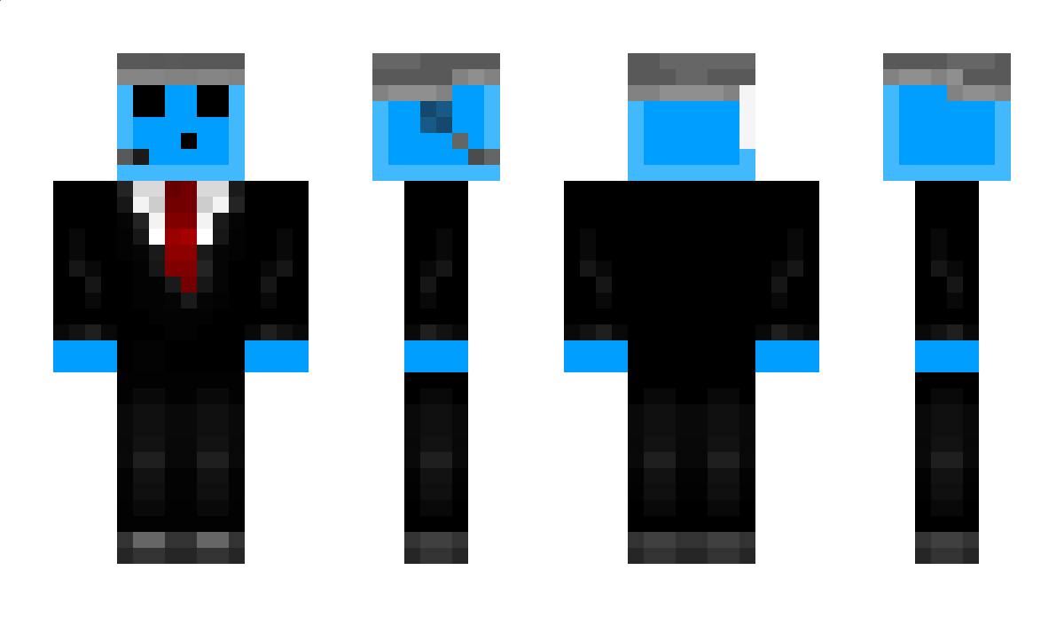 swift13 Minecraft Skin