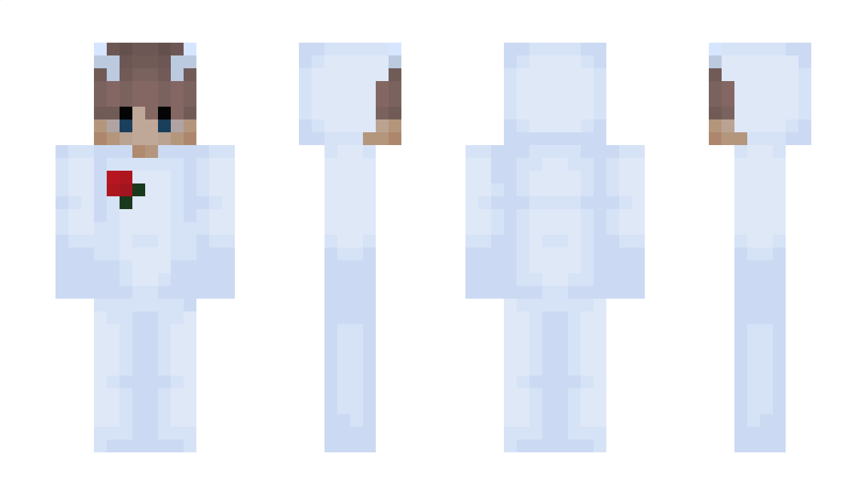 vdfg Minecraft Skin