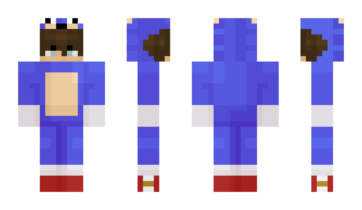 SonicMC Minecraft Skin