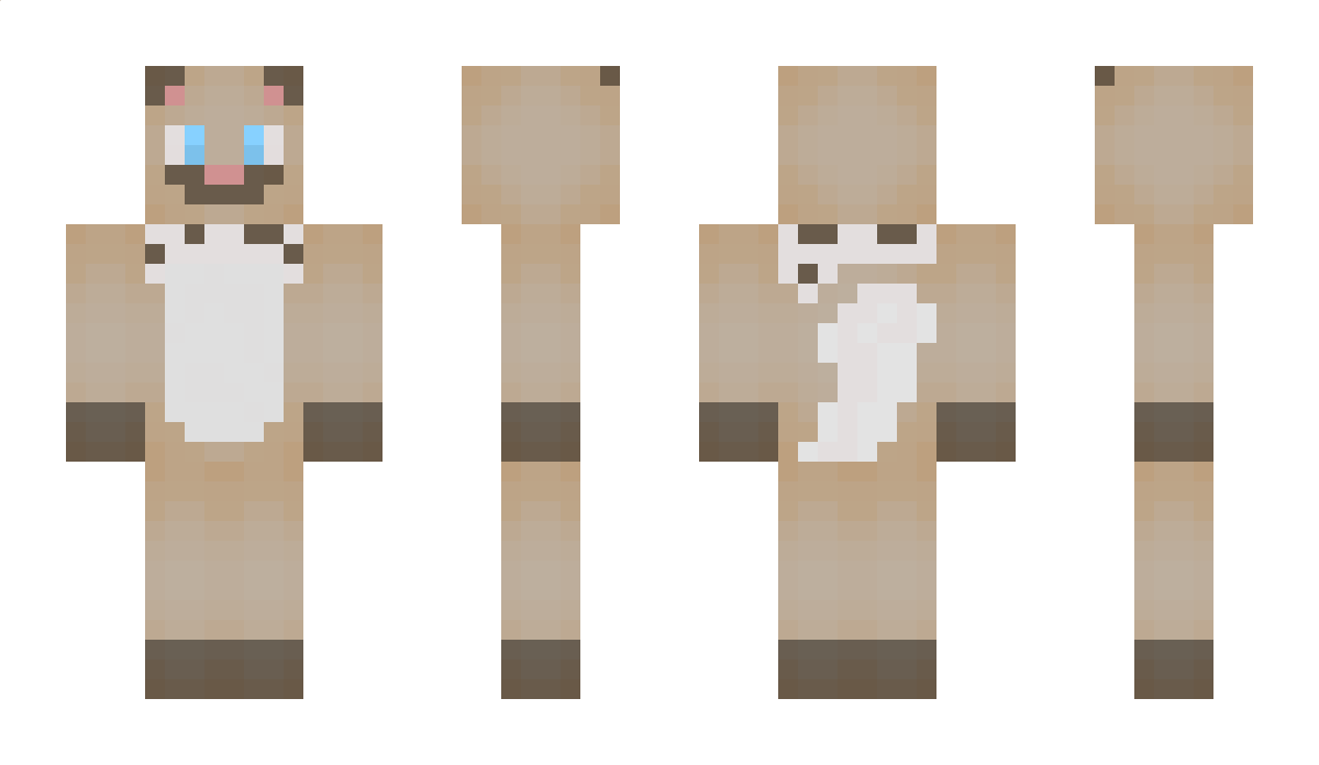 Blackoutmewto Minecraft Skin