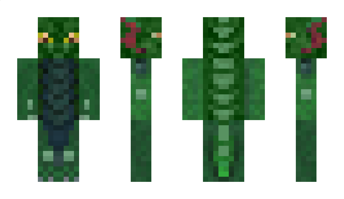 Partago Minecraft Skin