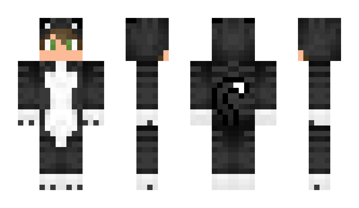 Will Minecraft Skin