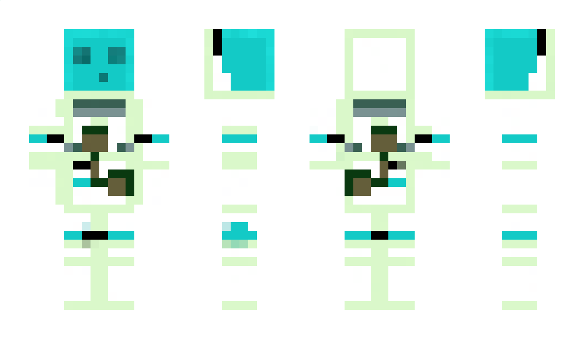 Smerf_inwalida Minecraft Skin