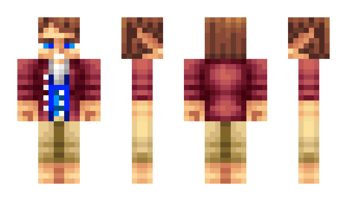 Baggins Minecraft Skin