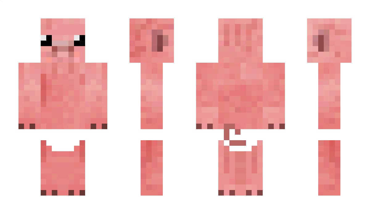 IDIOT205 Minecraft Skin