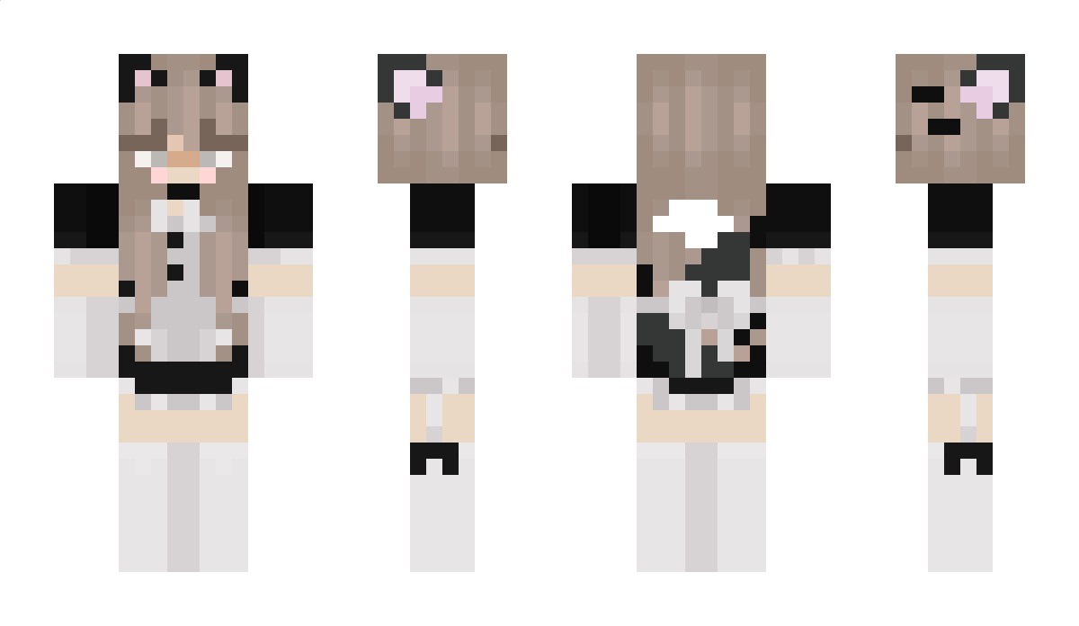 ArroztheTransfem Minecraft Skin