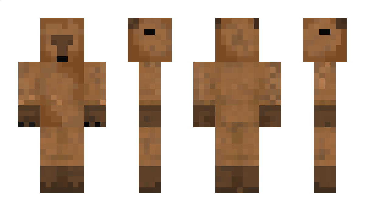 ProPro Minecraft Skin