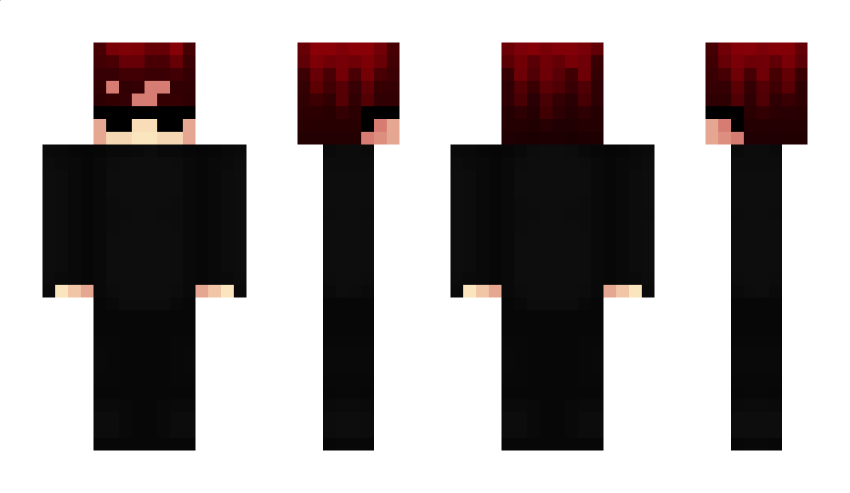 HansLord5 Minecraft Skin