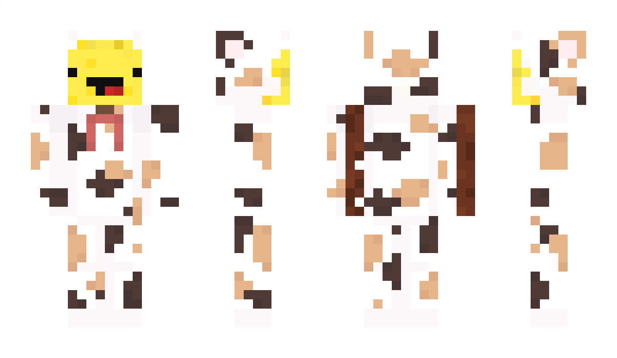 DutchTeletubby Minecraft Skin