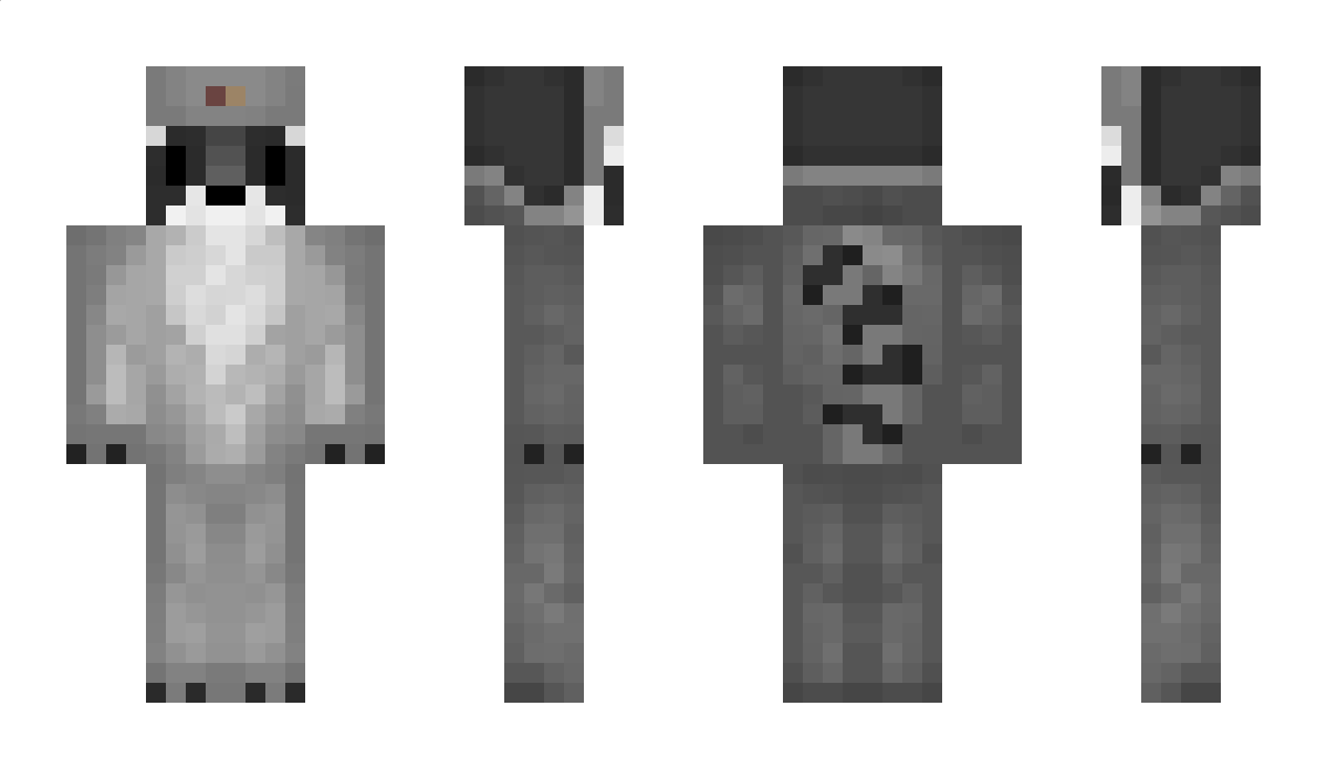 fluya Minecraft Skin