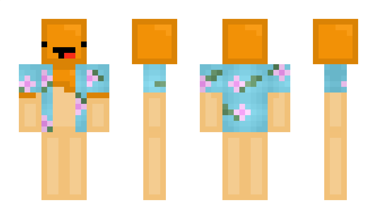 Teddyguy56 Minecraft Skin