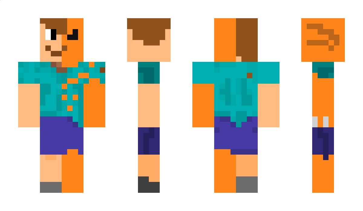 Arashi_fox Minecraft Skin