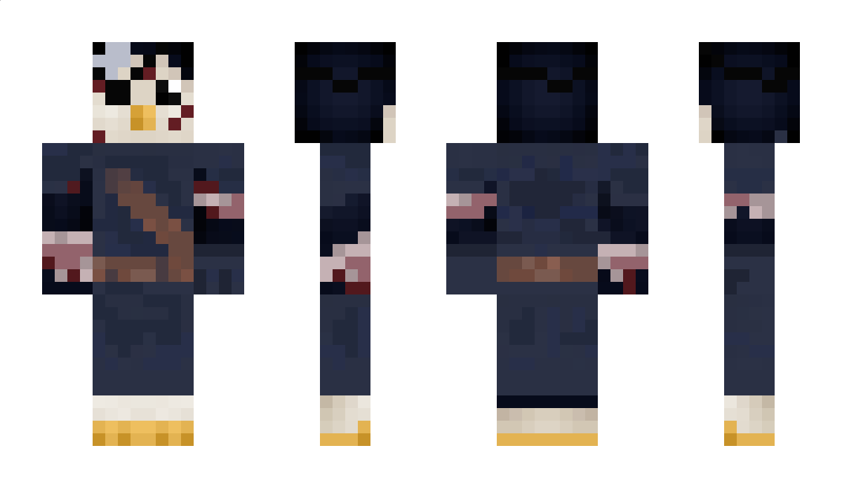 HULAPENGUIN Minecraft Skin