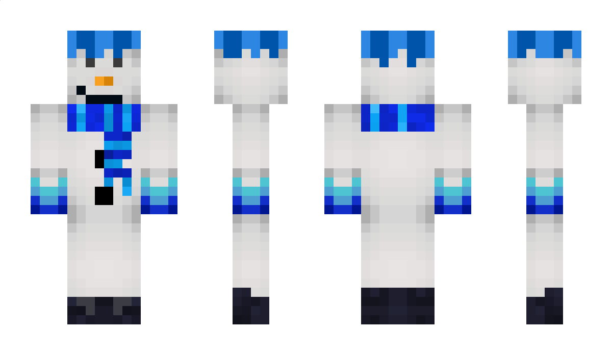 SnowFighter215 Minecraft Skin