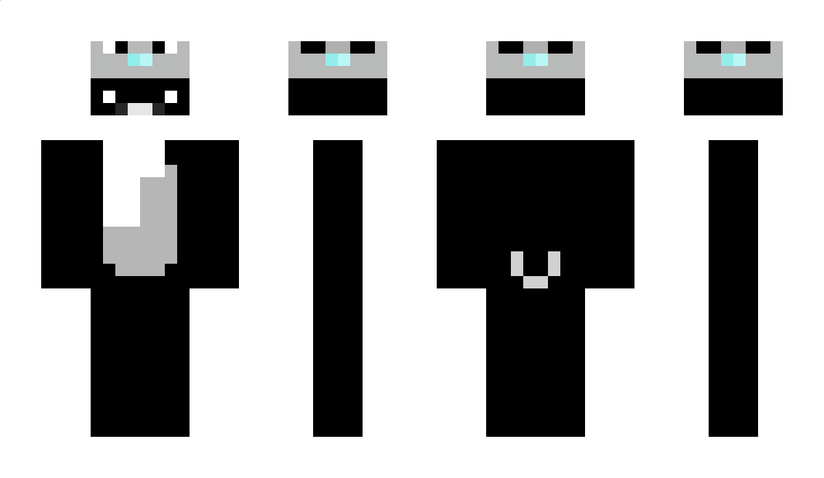 HiPolar Minecraft Skin