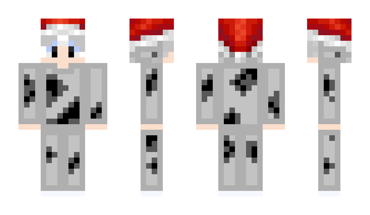 nainiu404_ Minecraft Skin