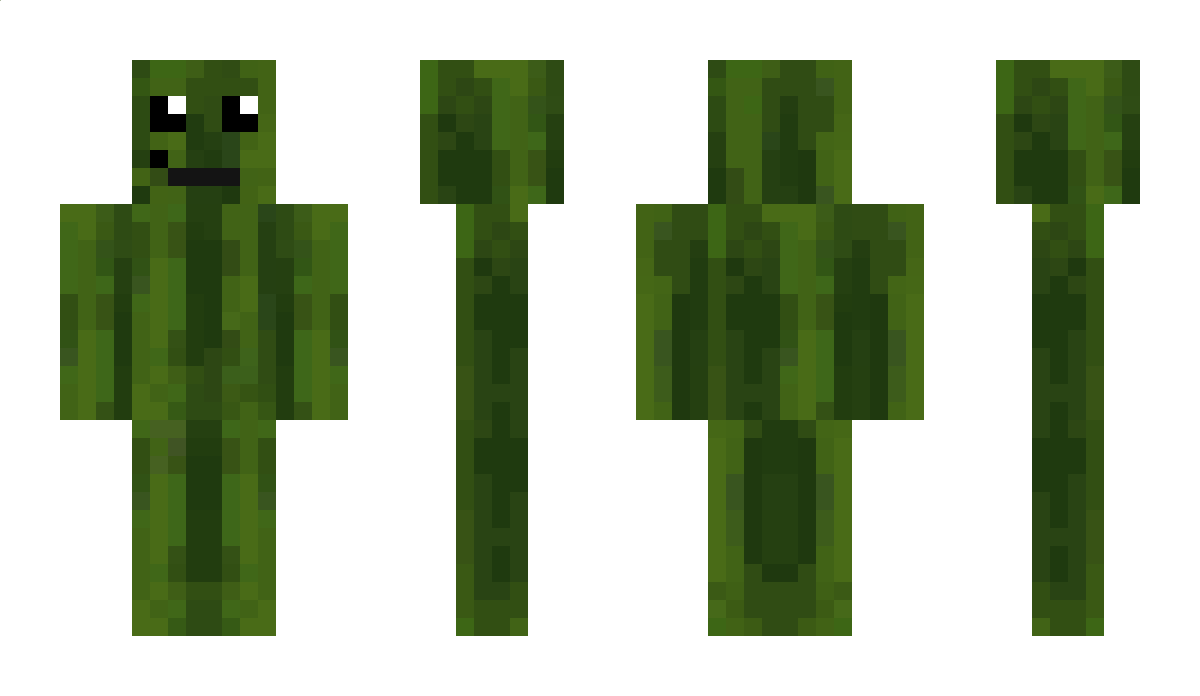 Safron9 Minecraft Skin