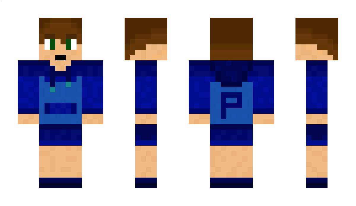 PMDkat Minecraft Skin