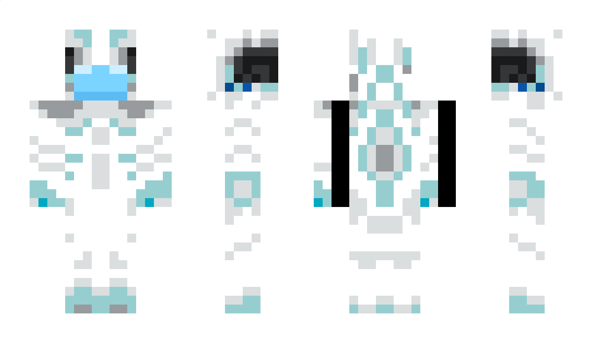 Railfan24 Minecraft Skin