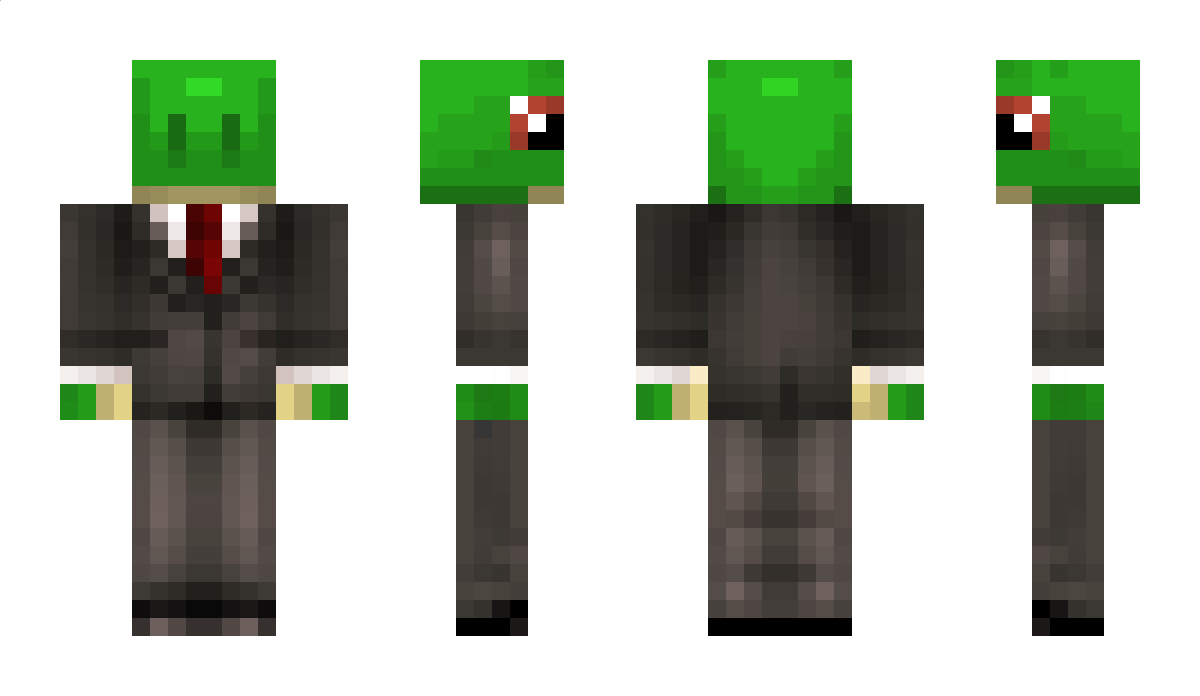 MrTurtle121212 Minecraft Skin