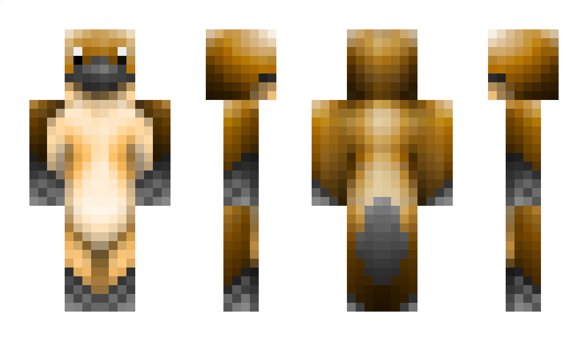 _Platypus Minecraft Skin