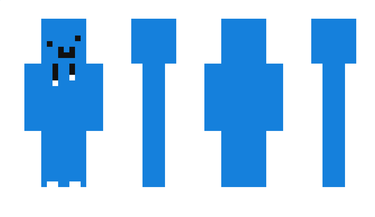 Selsal Minecraft Skin