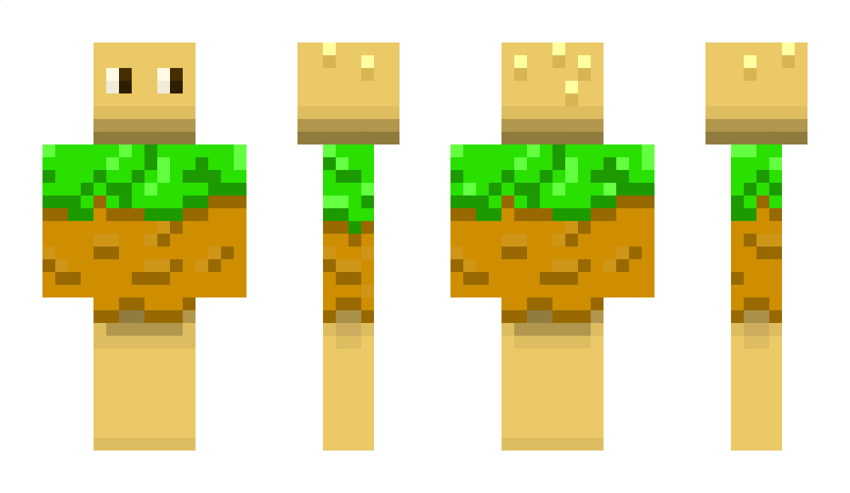 chipom Minecraft Skin