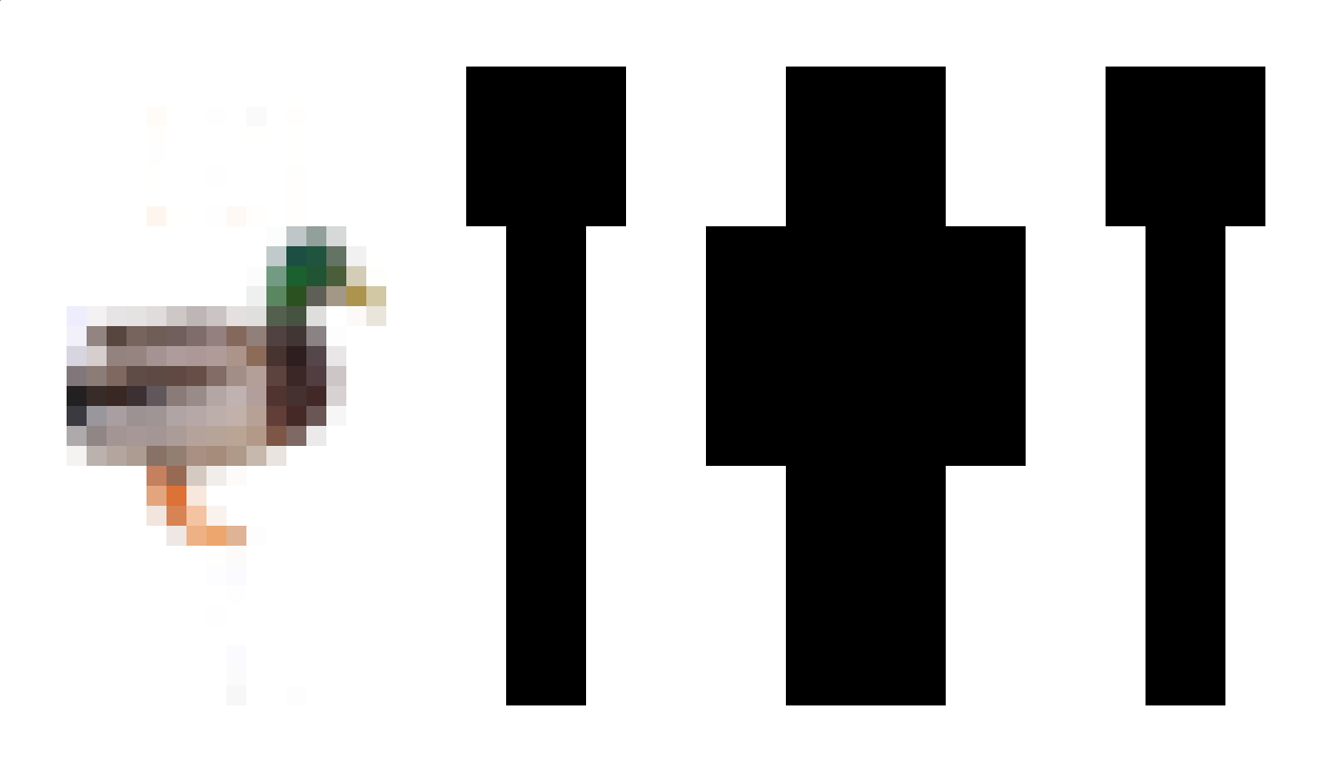 FlyingEpicDuck Minecraft Skin