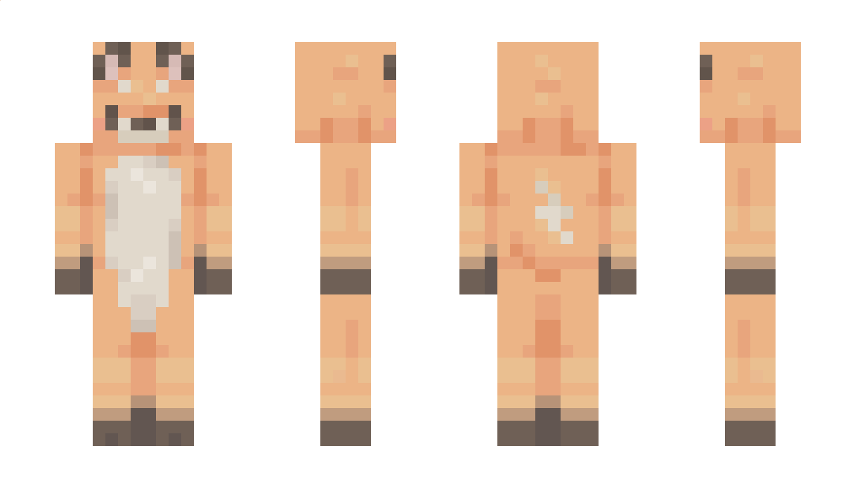 BRADLOVESURMOM Minecraft Skin