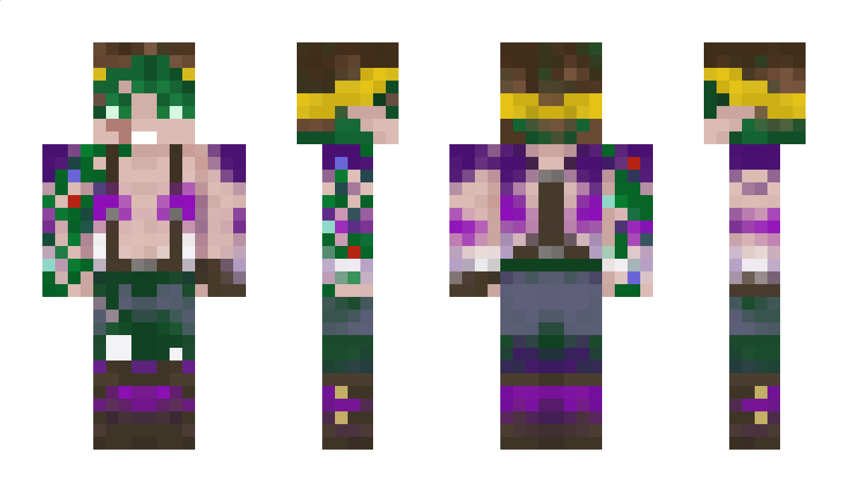 bartsudo Minecraft Skin