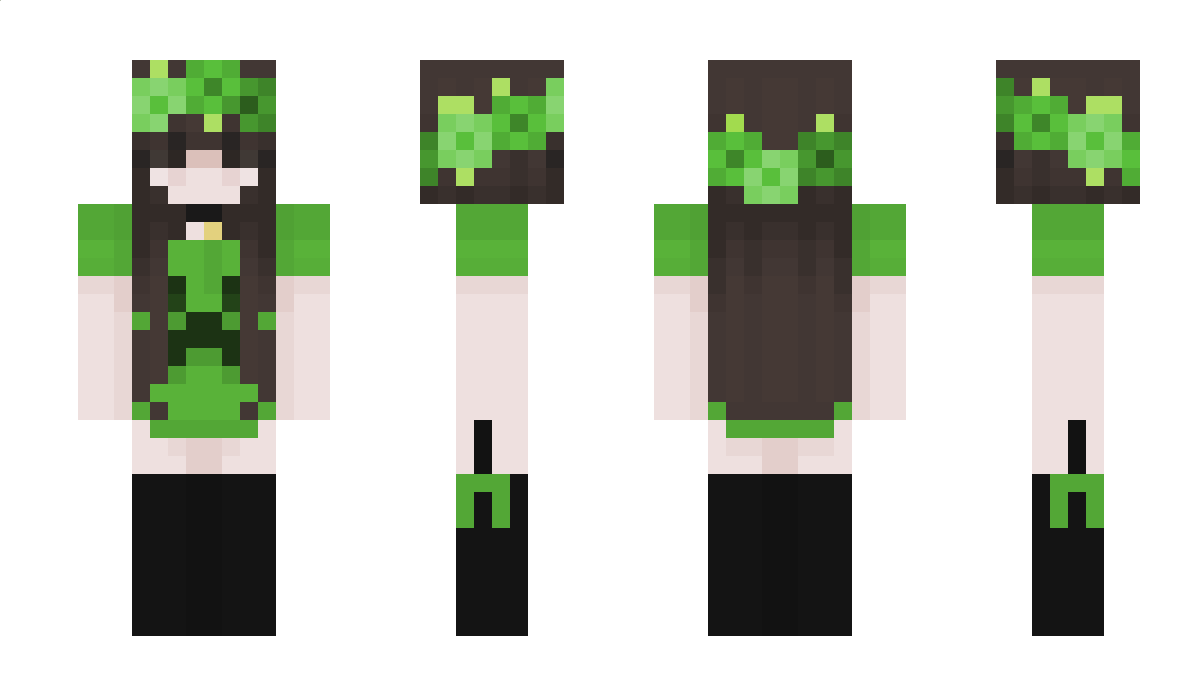 Pussel Minecraft Skin