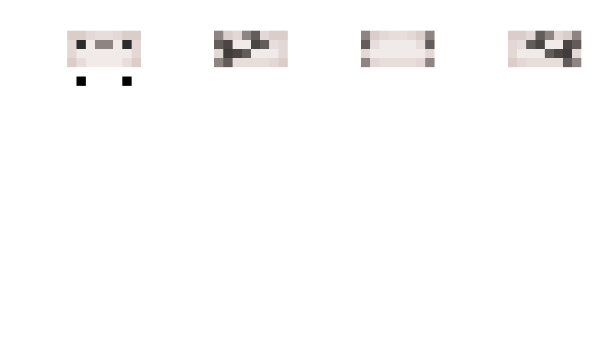 UDHH Minecraft Skin