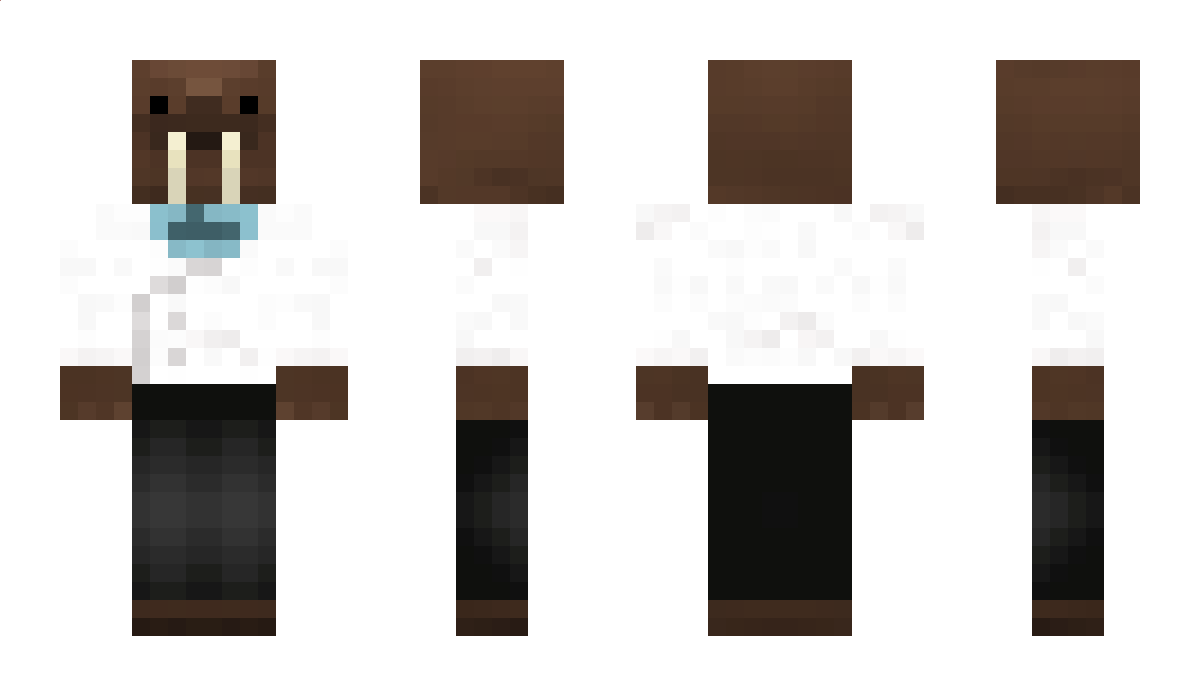 nanocis Minecraft Skin