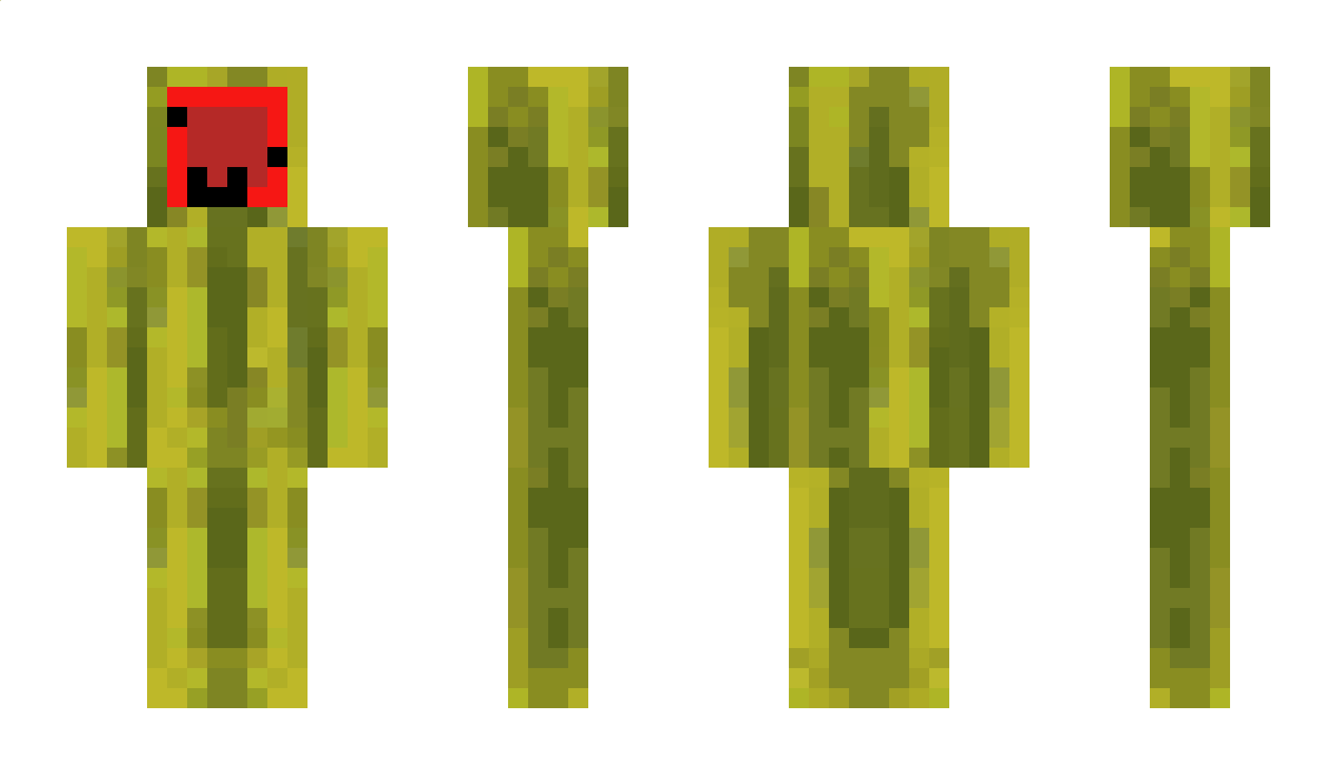 Flobinesolo Minecraft Skin