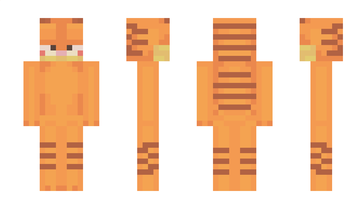 toekn Minecraft Skin