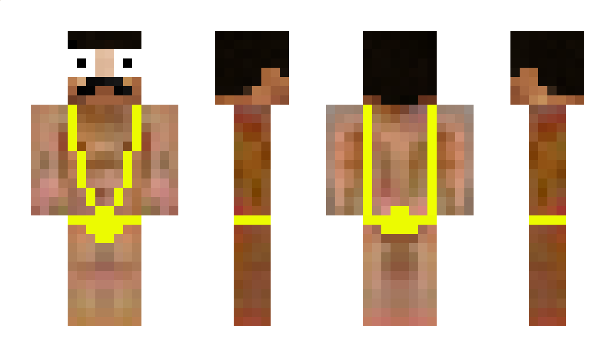 donkeyding Minecraft Skin