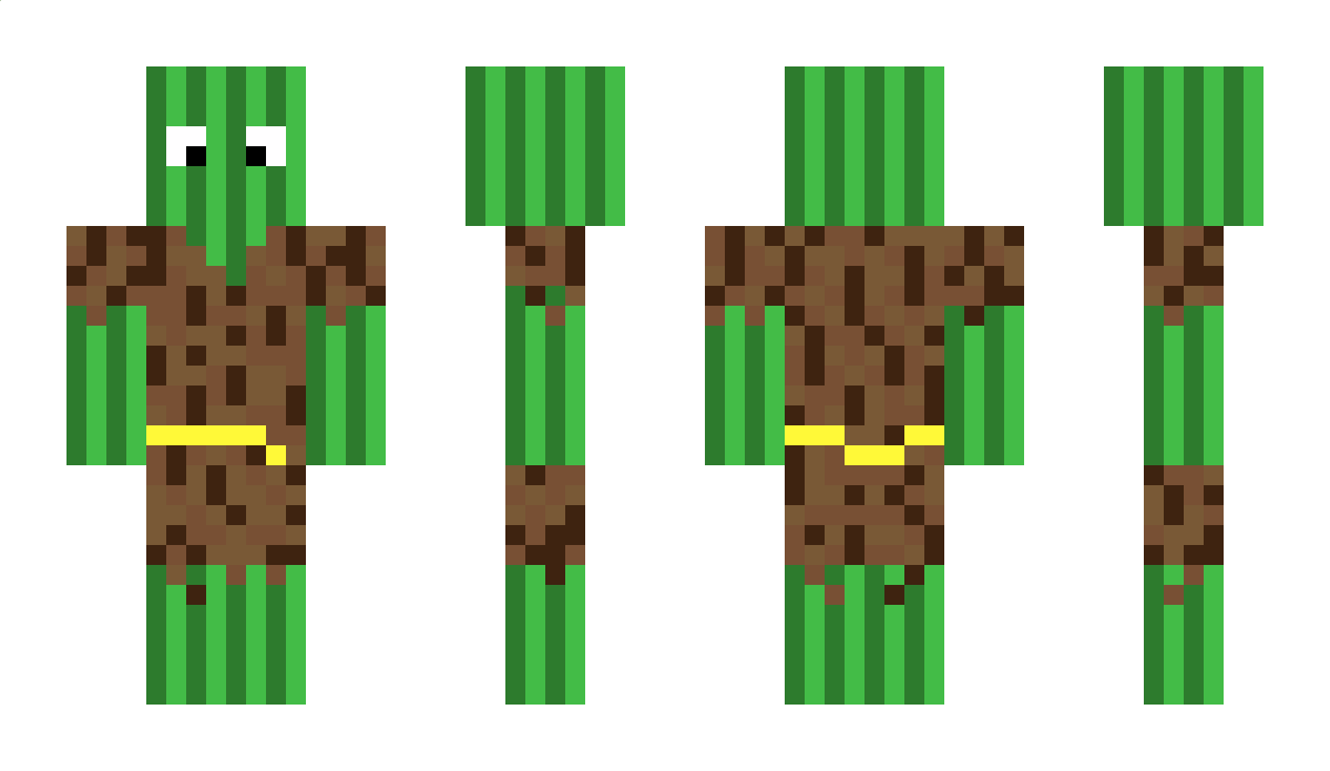 WiktorPl Minecraft Skin