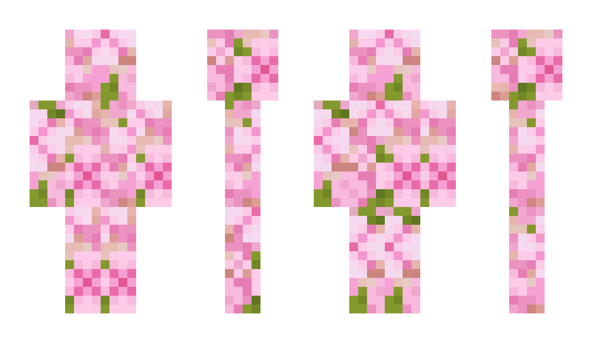 Denysocheck Minecraft Skin