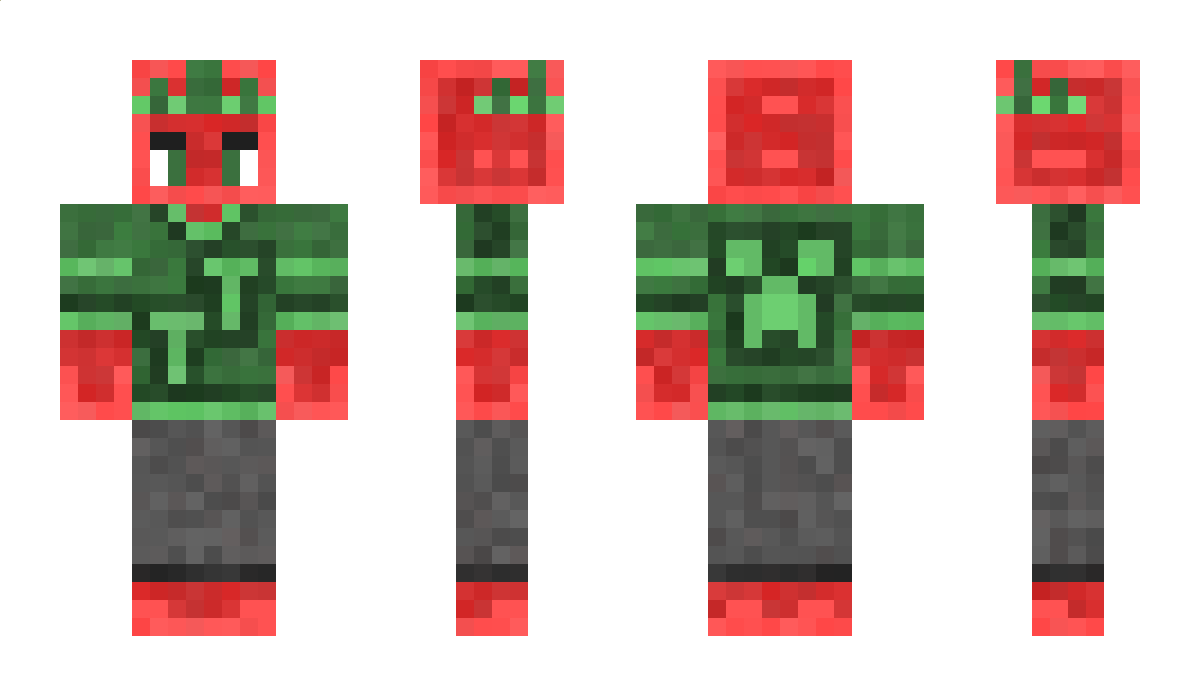 Xeny49 Minecraft Skin