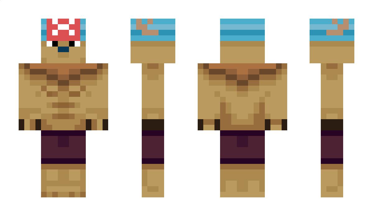 ItzLeVector Minecraft Skin