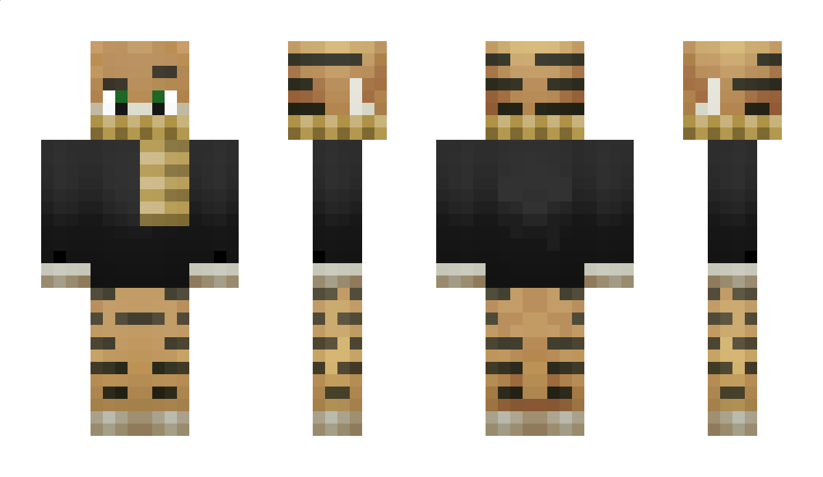 Sockets Minecraft Skin