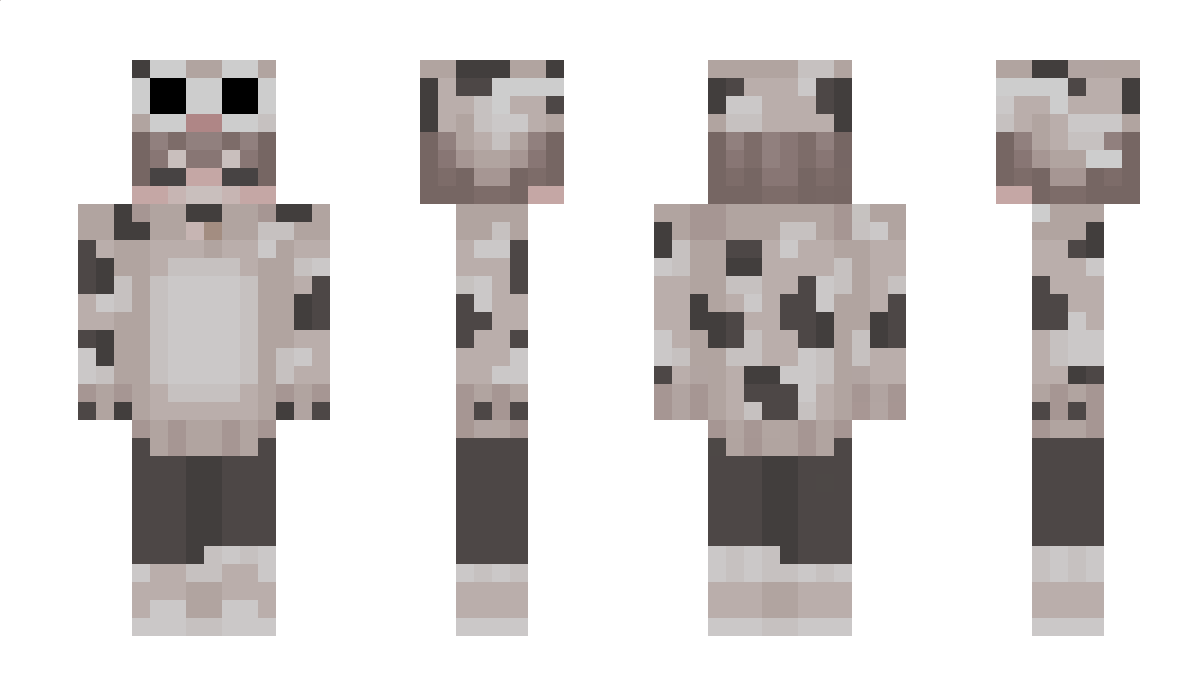 Senpaqii Minecraft Skin