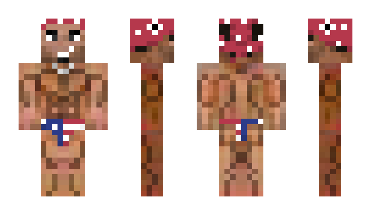 baull Minecraft Skin