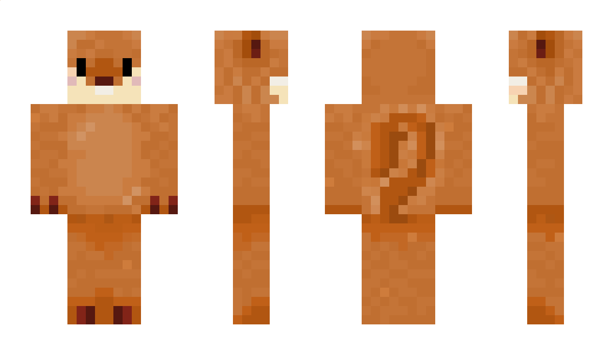 DgX_B0mb3r Minecraft Skin