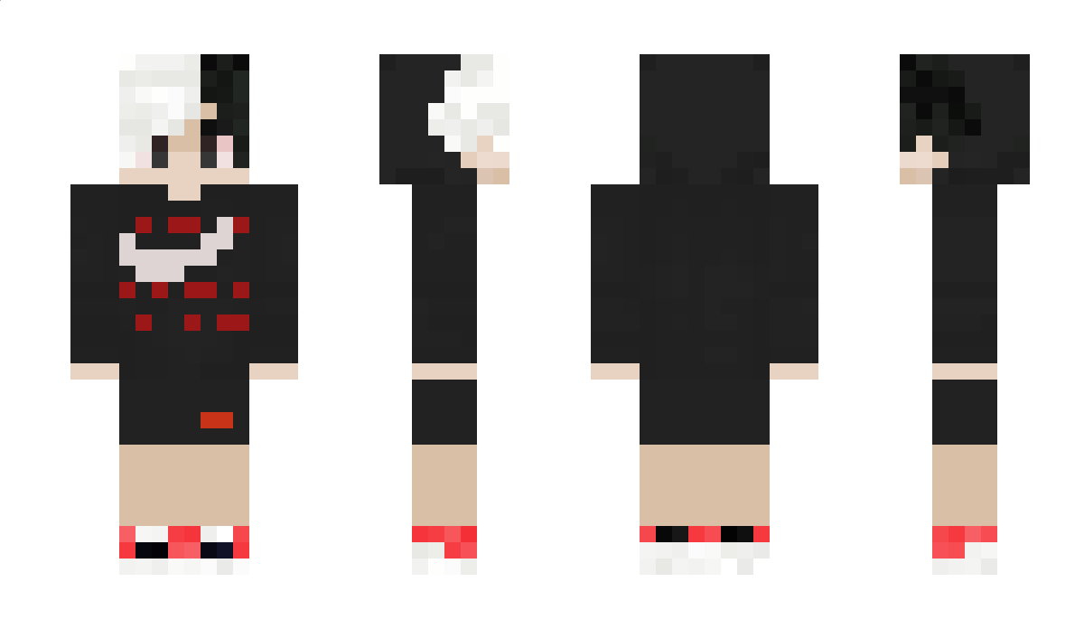 leitwantsdie Minecraft Skin